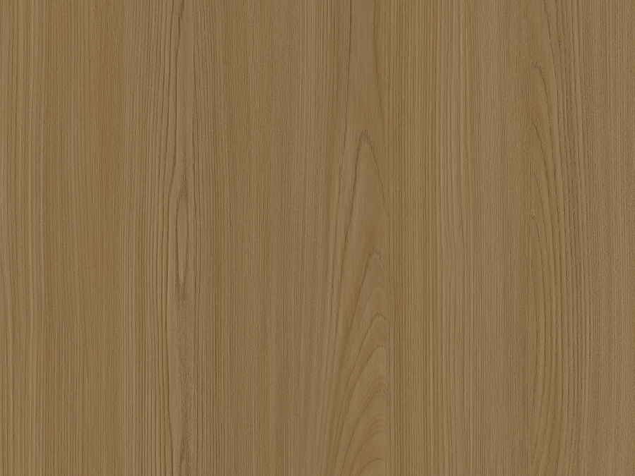 Moscow Elm G223989