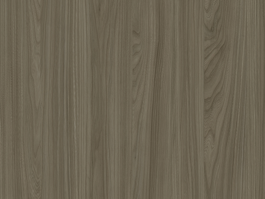 Sakalaman Elm GK23629